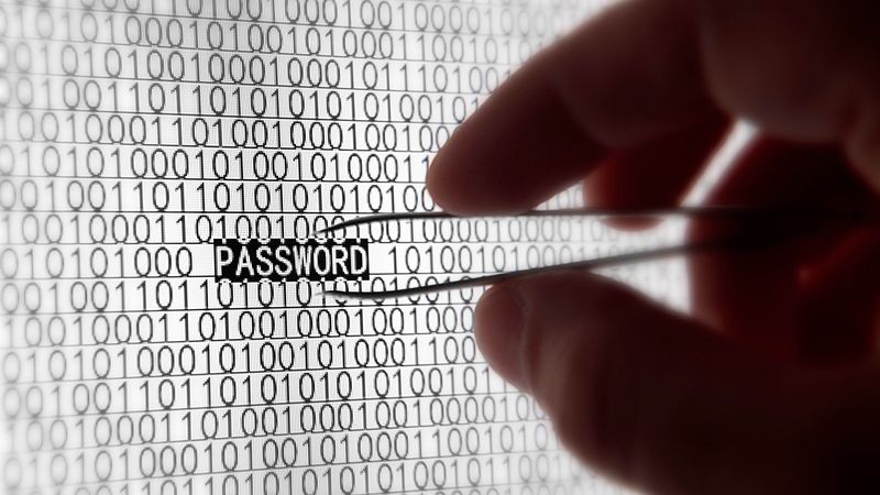 The Plight of Passwords